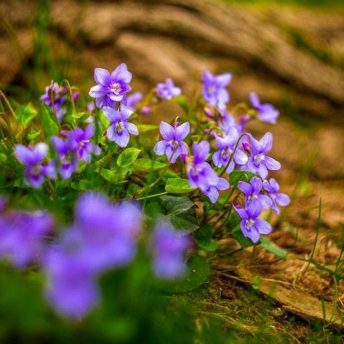 وَأَيُّوبَ إِذْ نَادَىٰ رَبَّهُ أَنِّي مَسَّنِيَ الضُّرُّ وَأَنتَ أَرْحَمُ الرَّاحِمِينَ