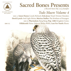 Pulsar (Oskreuz Berlin RMX)