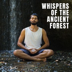 Temple of Stillness