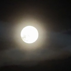 body ft Kxtoika!(prod.Manyo)