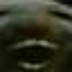 Phonk xdd