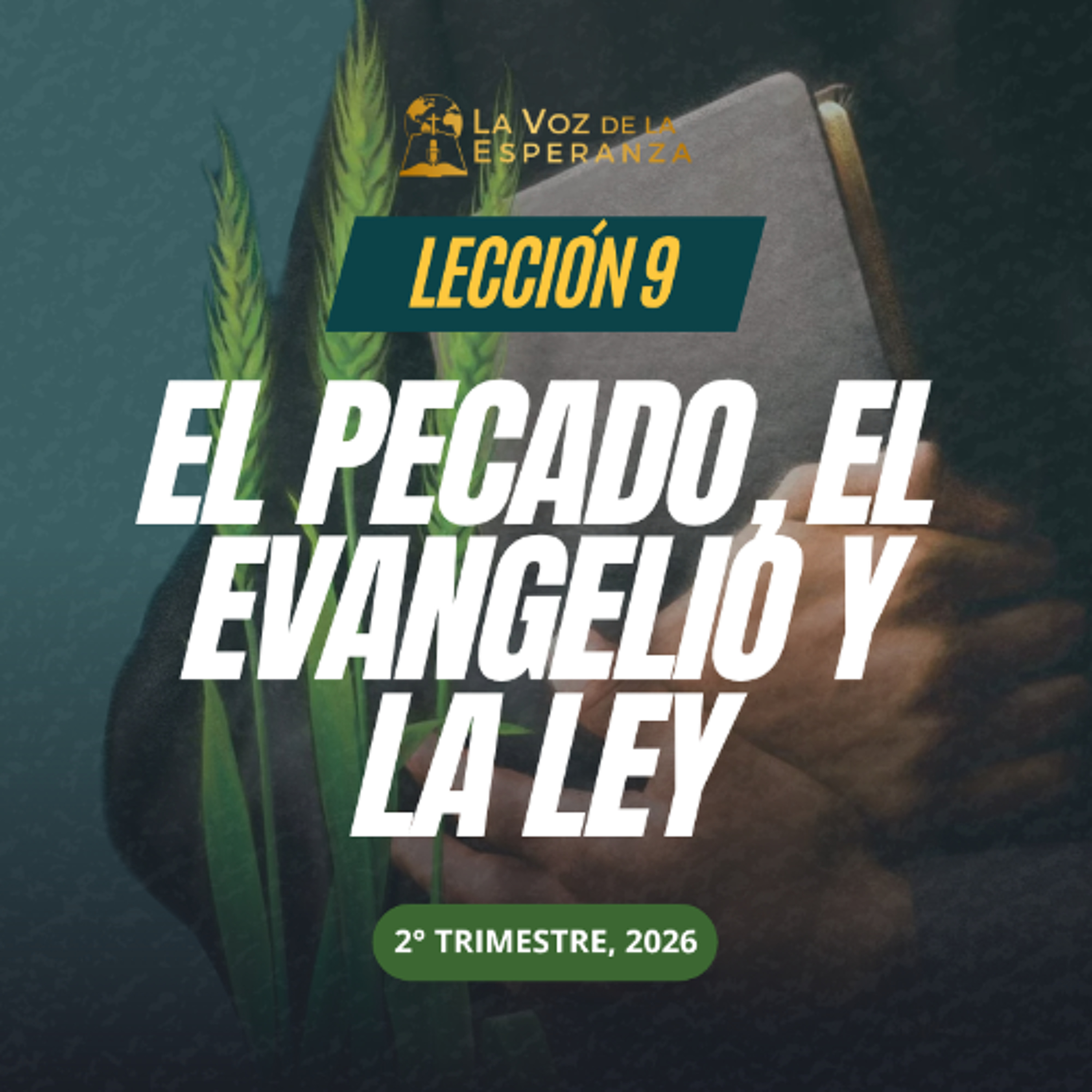 Lección 09 - El pecado, el evangelio y la ley