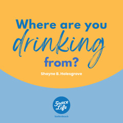 Where are you drinking from - Shayne Holesgrove (Stellenbosch)