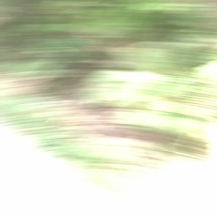 Dan Snazelle - Dub Blurb
