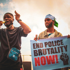 Akinlabi 2020 - Citizens Account of Police Use of Force