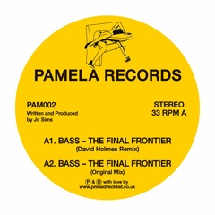 PREMIERE : Bass - The Final Frontier (David Holmes Remix)