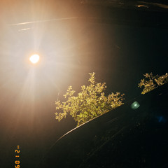 Điêu toa (cover)