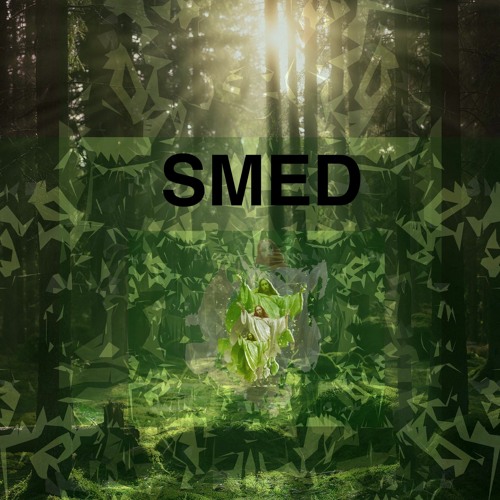 SMED @Faerden