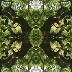 Master Manifestor (Prod. by Luchador)