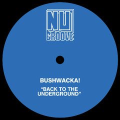 Bushwacka! - How To House [Nu Groove Records]