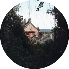 Lost in the Jungle 05-12-2024, 14.52.17