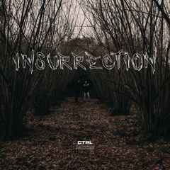 INSURRECTION