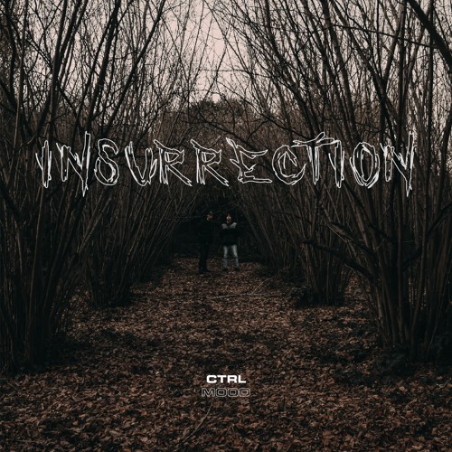 INSURRECTION