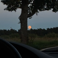 Arantxa x Saturator 02