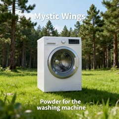 Powder for the Washing Machine