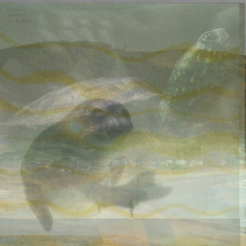 Music For Whales - Traumprinz, pure ambient works