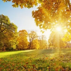 3pm in the afternoon in november 🍂🍁☀