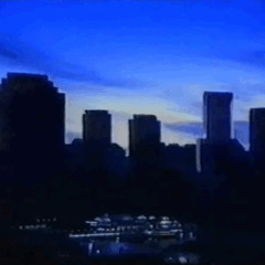 vcr-classique - RAINY PARADISE