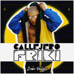 Callejero Friki