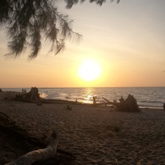 Untold Stories #3 / Organica  Mix