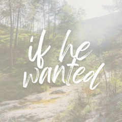 If He Wanted