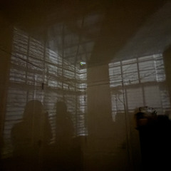 what you see p. gxmini + zachcs