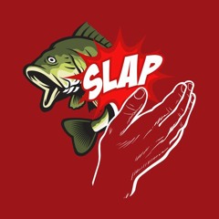Sophia - Slap The Bass Promo Mix