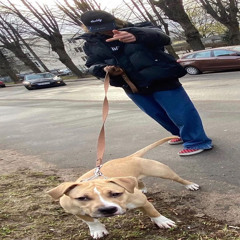 driplife95 - 911 (prod.viplife95)(leak)