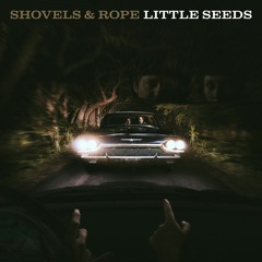 Little Seeds (Deluxe Version)