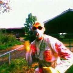 The Prodigy - Out Of Space (???)