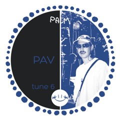 PALMIX 006 - PAV