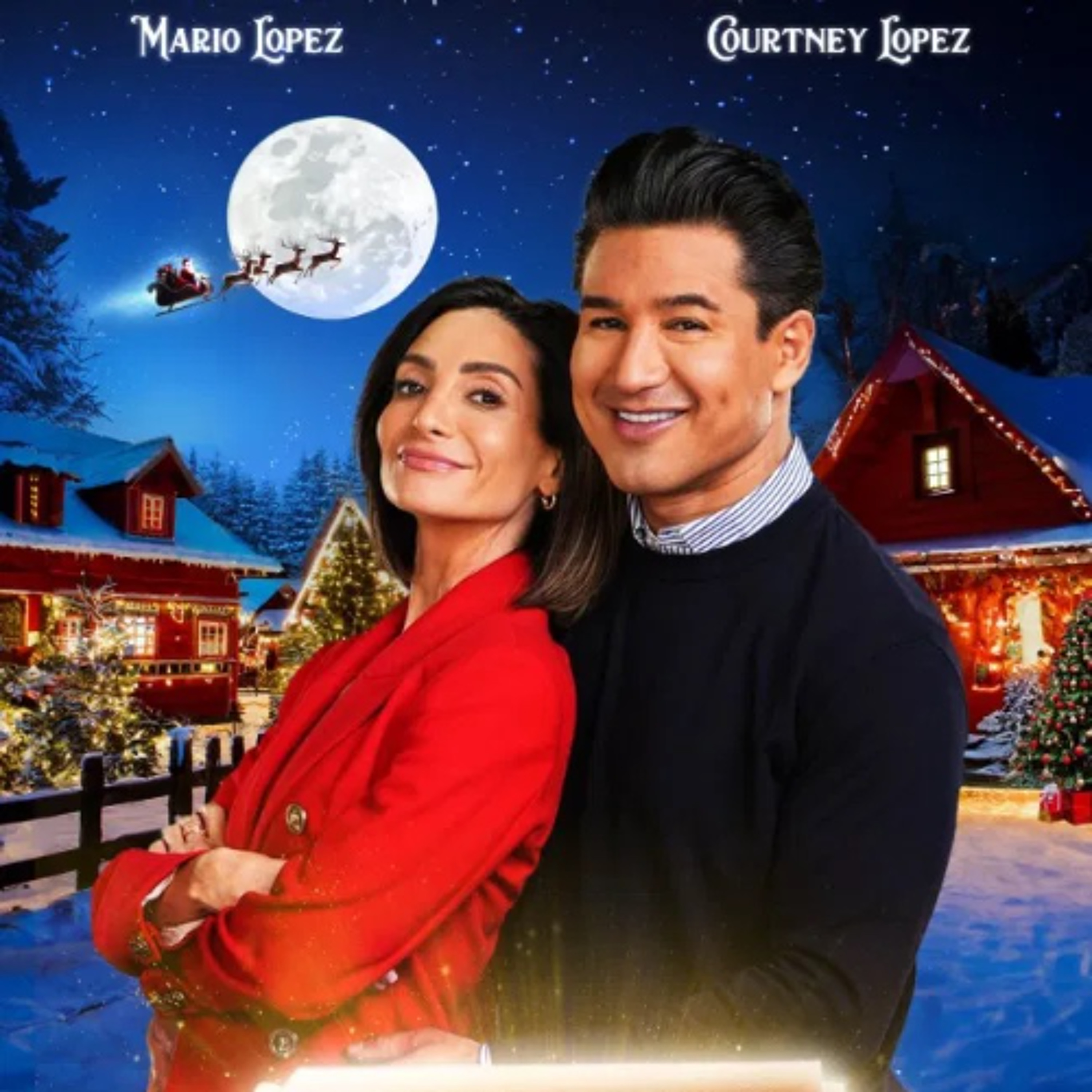 Once Upon A Christmas Wish