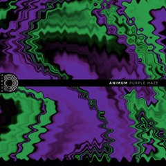 Animum - Purple Haze (Original Mix)