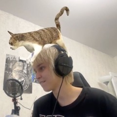 madk1d - supermarket (snippet 22.08.24)