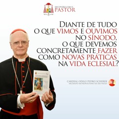 ENCONTRO COM O PASTOR - REPENSAR AS PRÁTICAS PASTORAIS A PARTIR DO SÍNODO - 10.05.2023
