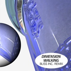 Premiere: Seo John - Dimension Walking (Bliss Inc. Remix) [GODDEZZ]