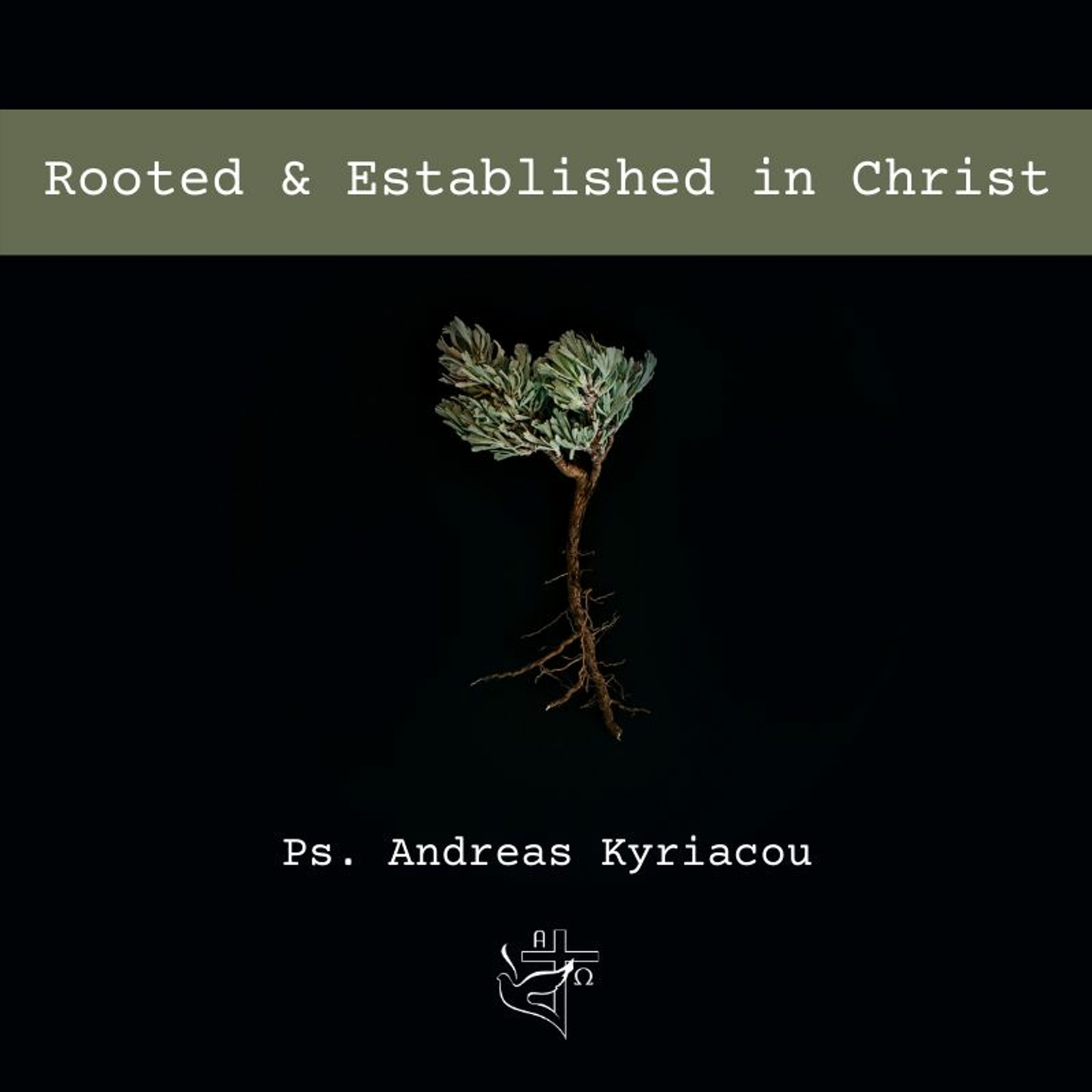 Rooted & Established in Christ episode artwork