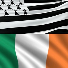 Battle of Brisbane + Repeal of the Licencing Laws (Irlande) The Pogues Cover