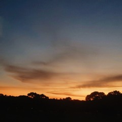 cash - live @ ambient night 2022 <3