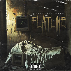 Flatline [Prod. Zyller x Zepelin]