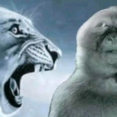 Idk bruh im trying !! [VD]