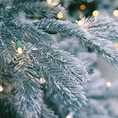 Юлия Маврина мюзикл_Золушка_ - А на свете всё об одном (www.hotplayer.ru).mp3