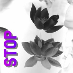 STOP [FREE DL]