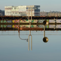 Springvossen 568 Henk Schut