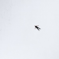 Il Cuore non sa Contare