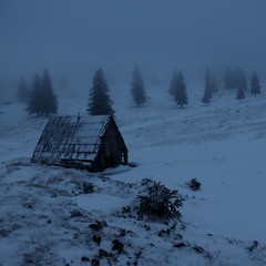 wind mountain cabin howling  mkh8020 05012025 added chime bells