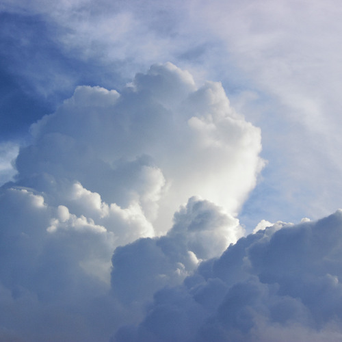 Цена Финала