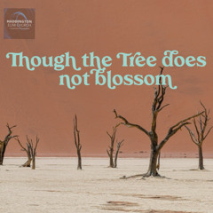 Though the Tree Should Not Blossom