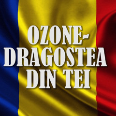Dragostea Din Tei - O-Zone (Română Zouk Remix - DJ Raffro)