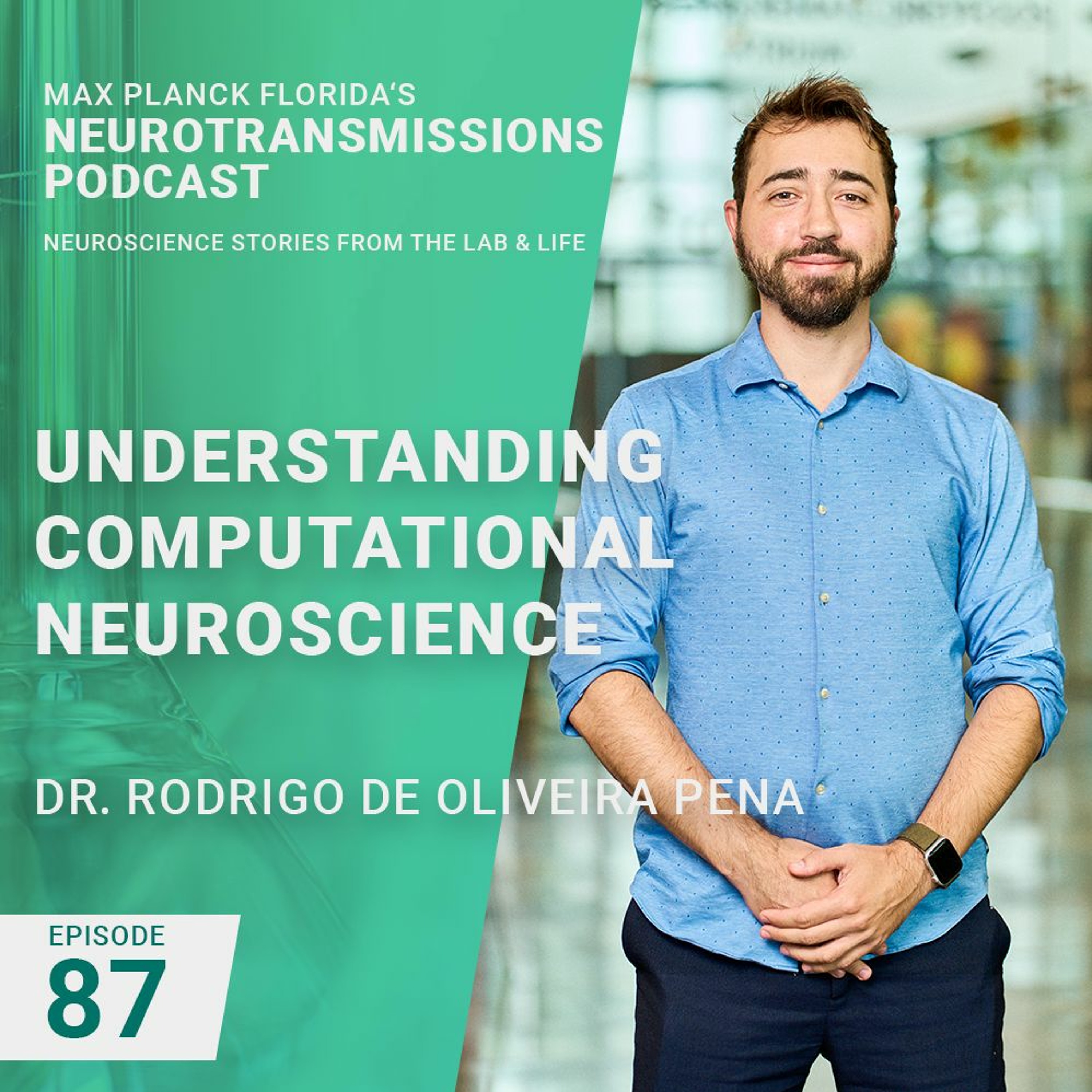 87. Understanding Computational Neuroscience with Rodrigo De Oliveira Pena